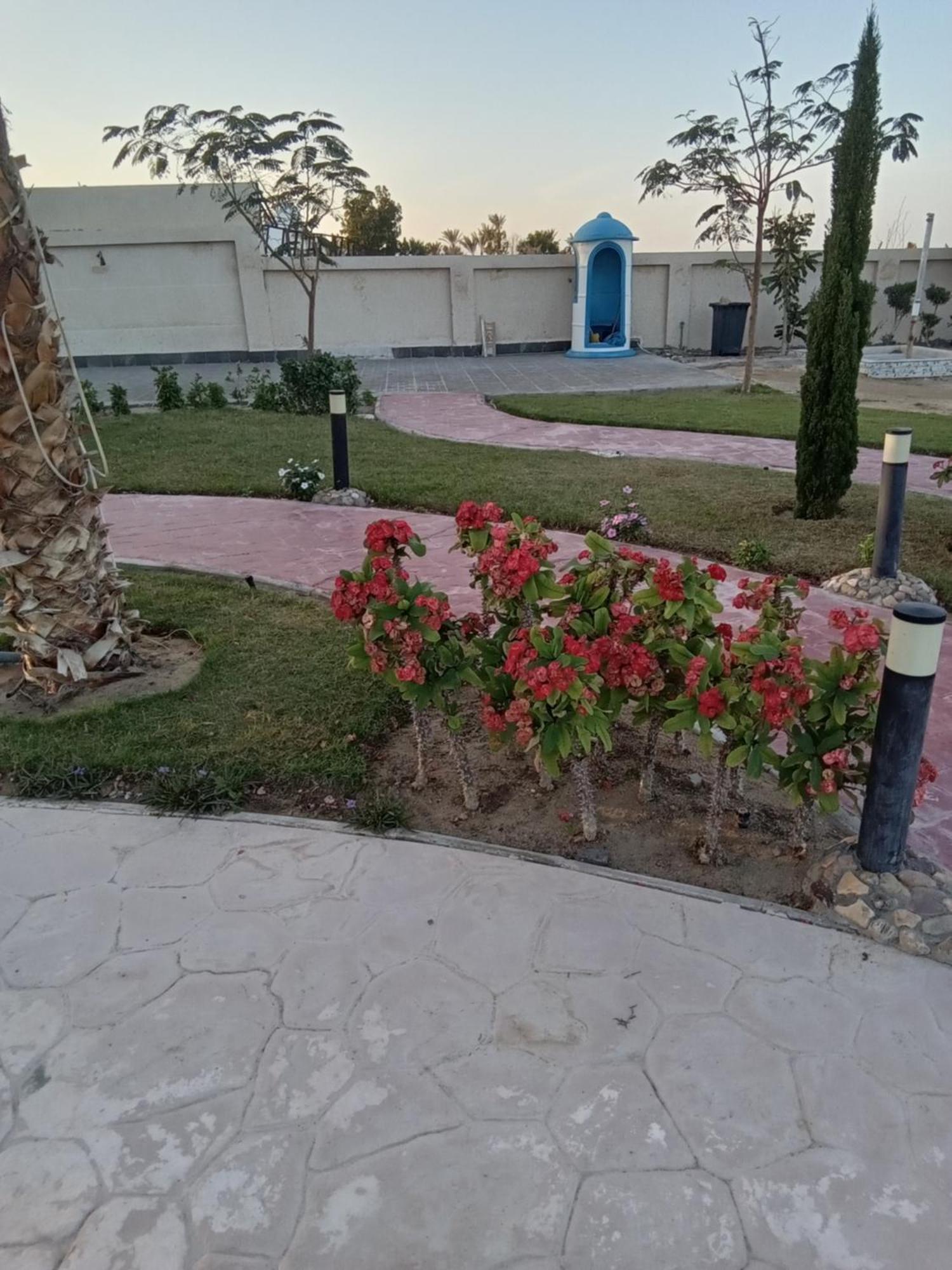 Casablanca Beach Aparthotel Hurghada Esterno foto